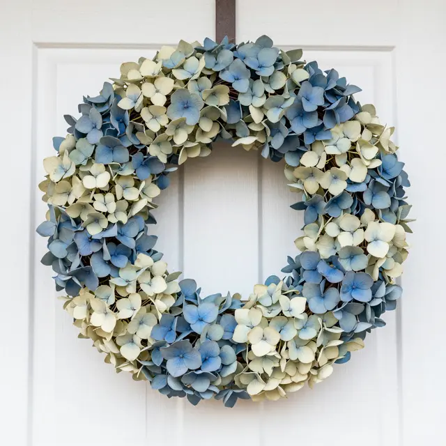 A grapevine wreath of faded blue and cream dried hydrangeas hangs on a white paneled door.