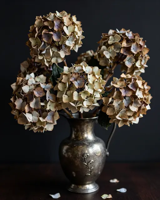 Papery dried hydrangea heads arranged in an aged pewter vase against a dark background