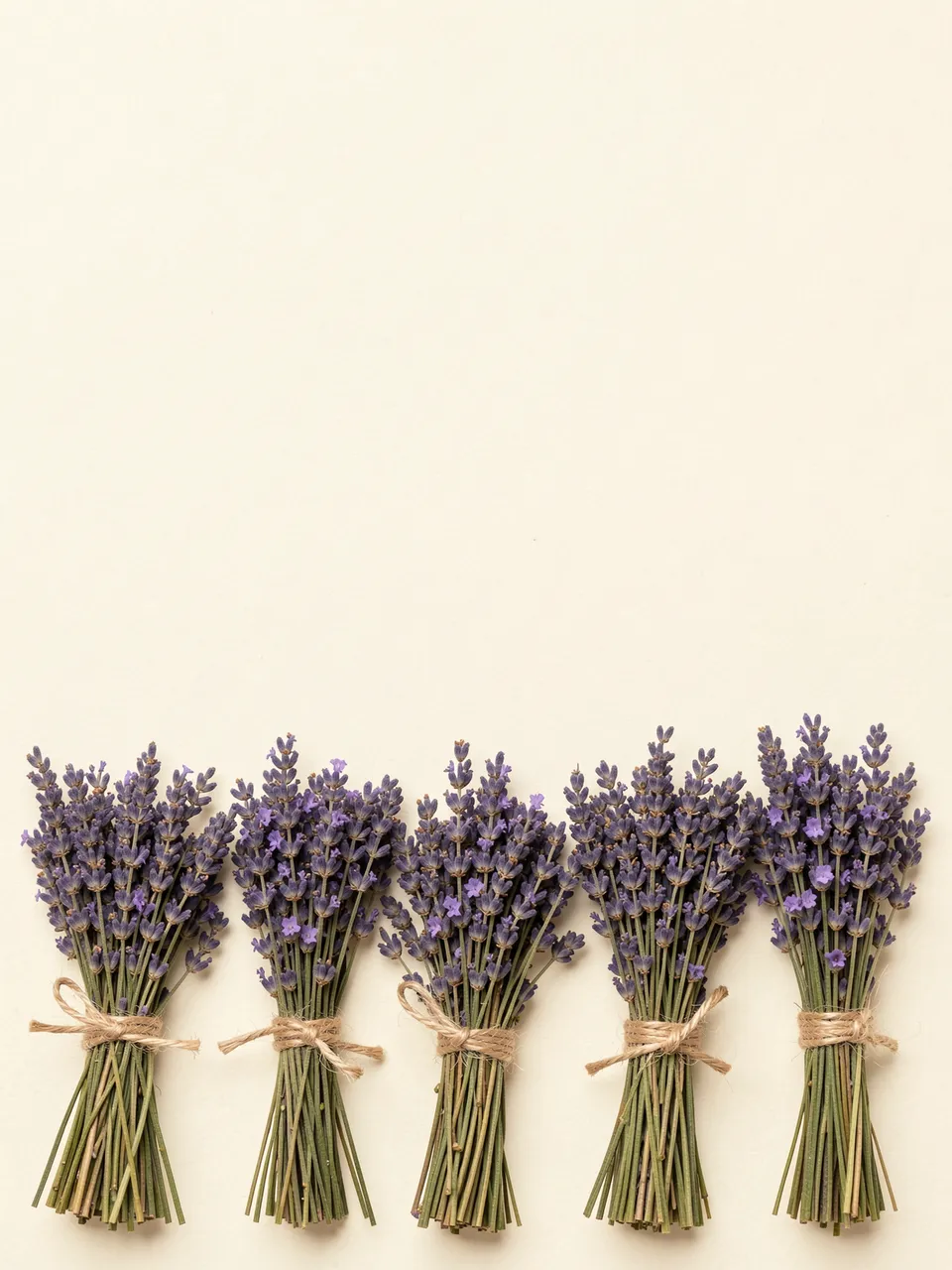 Five twine-tied dried lavender bundles line the bottom edge of plain cream paper with empty copy space above.