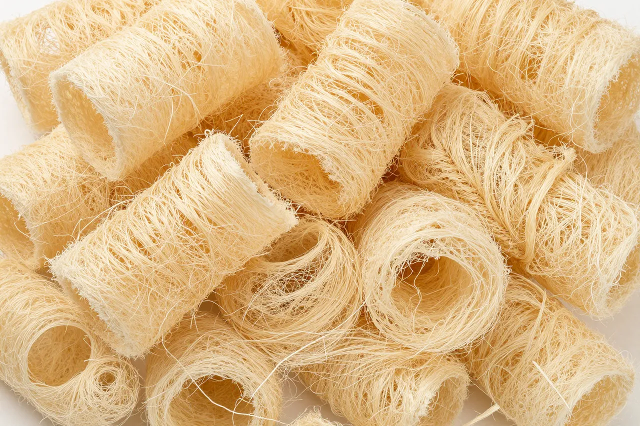 Full frame close-up of stacked tangled dried loofah scrubber cylinders under flat even lighting