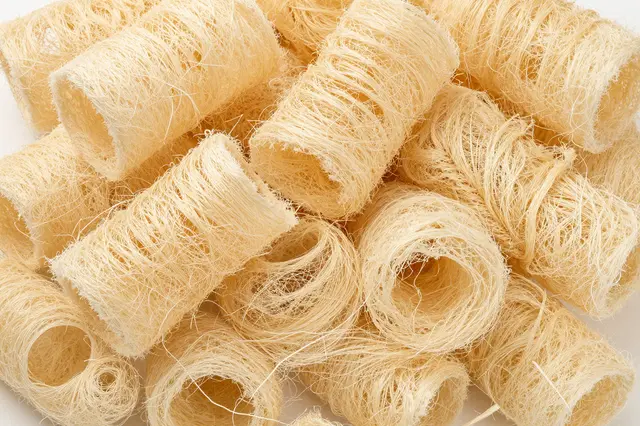 Full frame close-up of stacked tangled dried loofah scrubber cylinders under flat even lighting