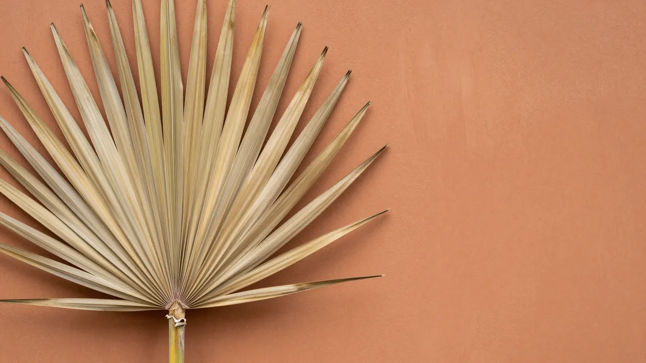 A dried fan palm leaf rests on the left side of a smooth terracotta surface with blank copy space to the right.
