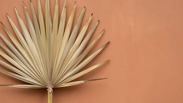 A dried fan palm leaf rests on the left side of a smooth terracotta surface with blank copy space to the right.