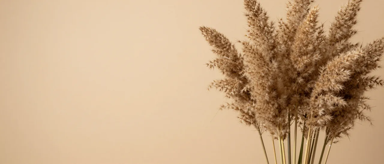 Fluffy dried pampas grass sits on the right side of a warm beige backdrop with empty copy space on the left