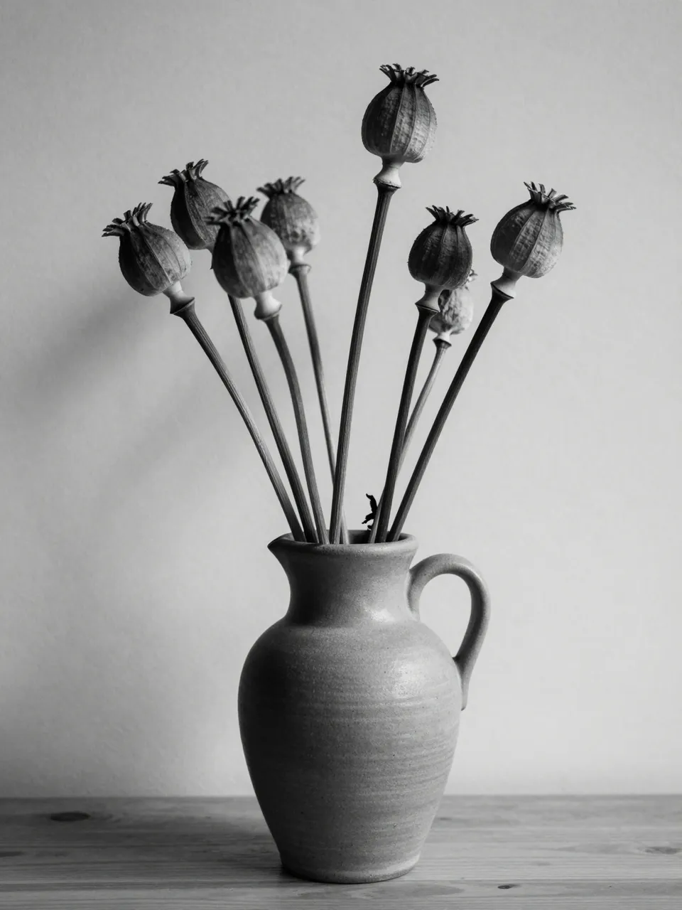Black and white still life of dried poppy seed heads arranged in a stoneware jug on a wooden table against a plain wall