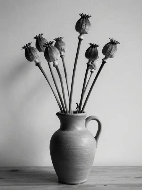 Black and white still life of dried poppy seed heads arranged in a stoneware jug on a wooden table against a plain wall