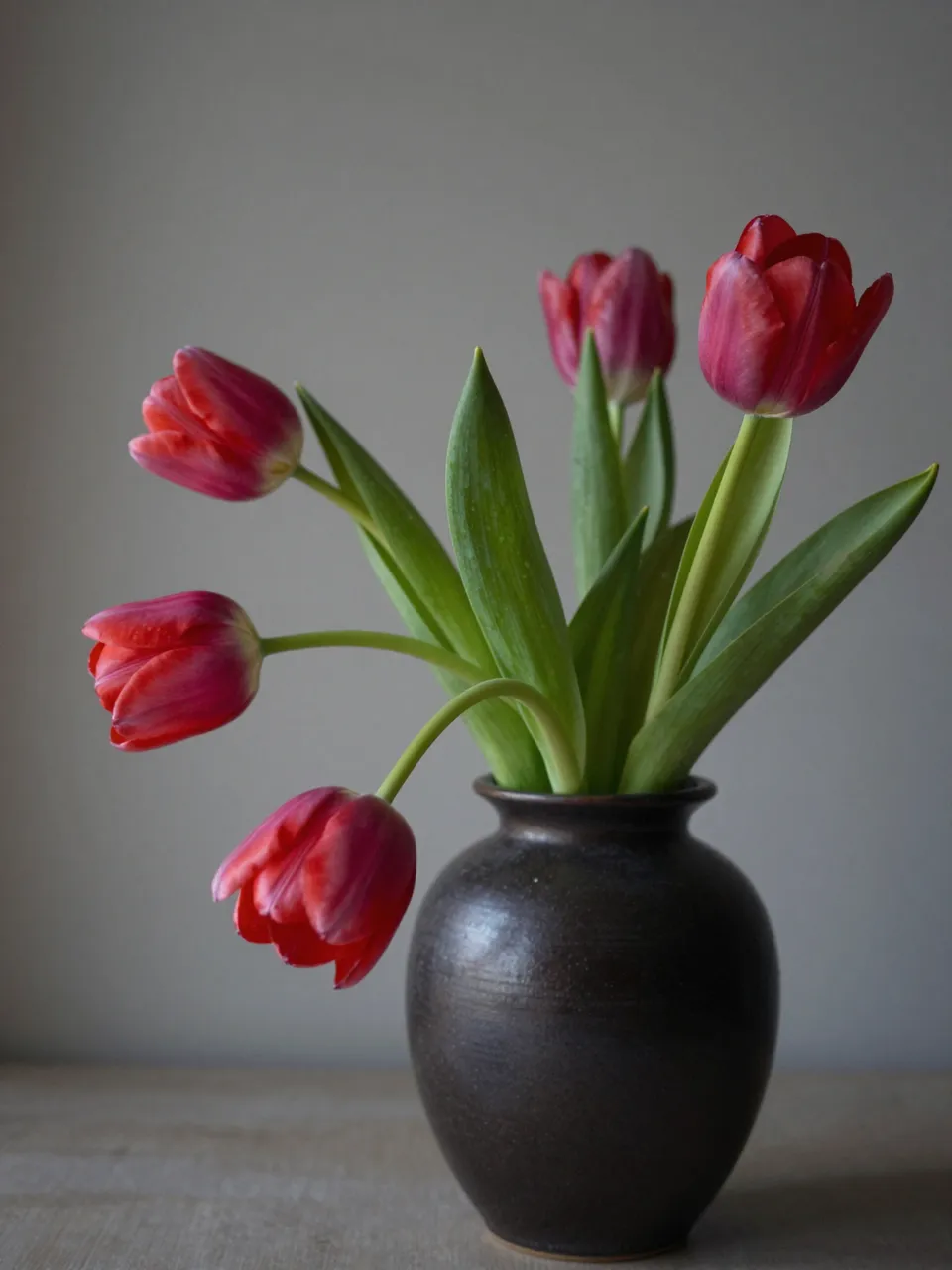 Low-key still life of drooping red tulips arranged in a dark ceramic vase against a muted gray wall