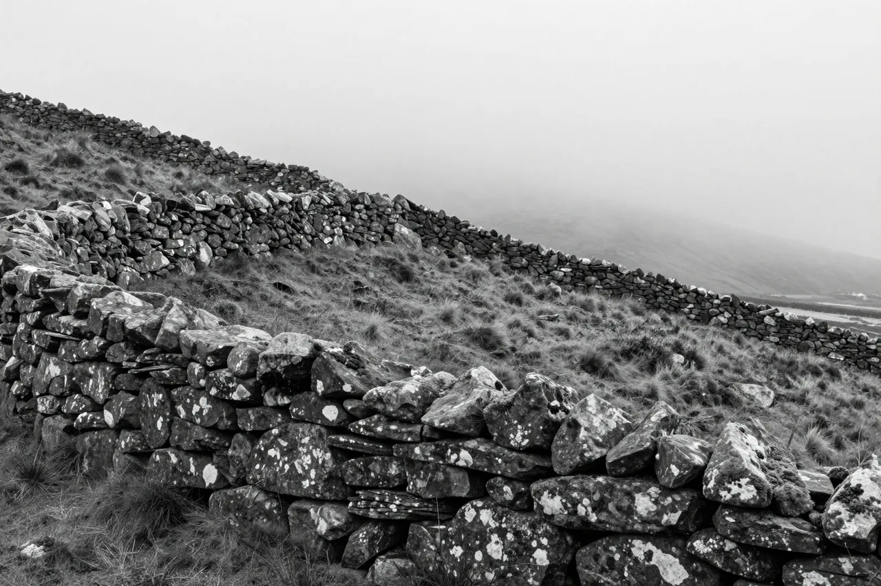 Black and white view of a weathered dry stone wall curving over a bare moor hill into thick fog