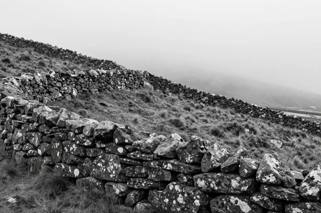 Black and white view of a weathered dry stone wall curving over a bare moor hill into thick fog