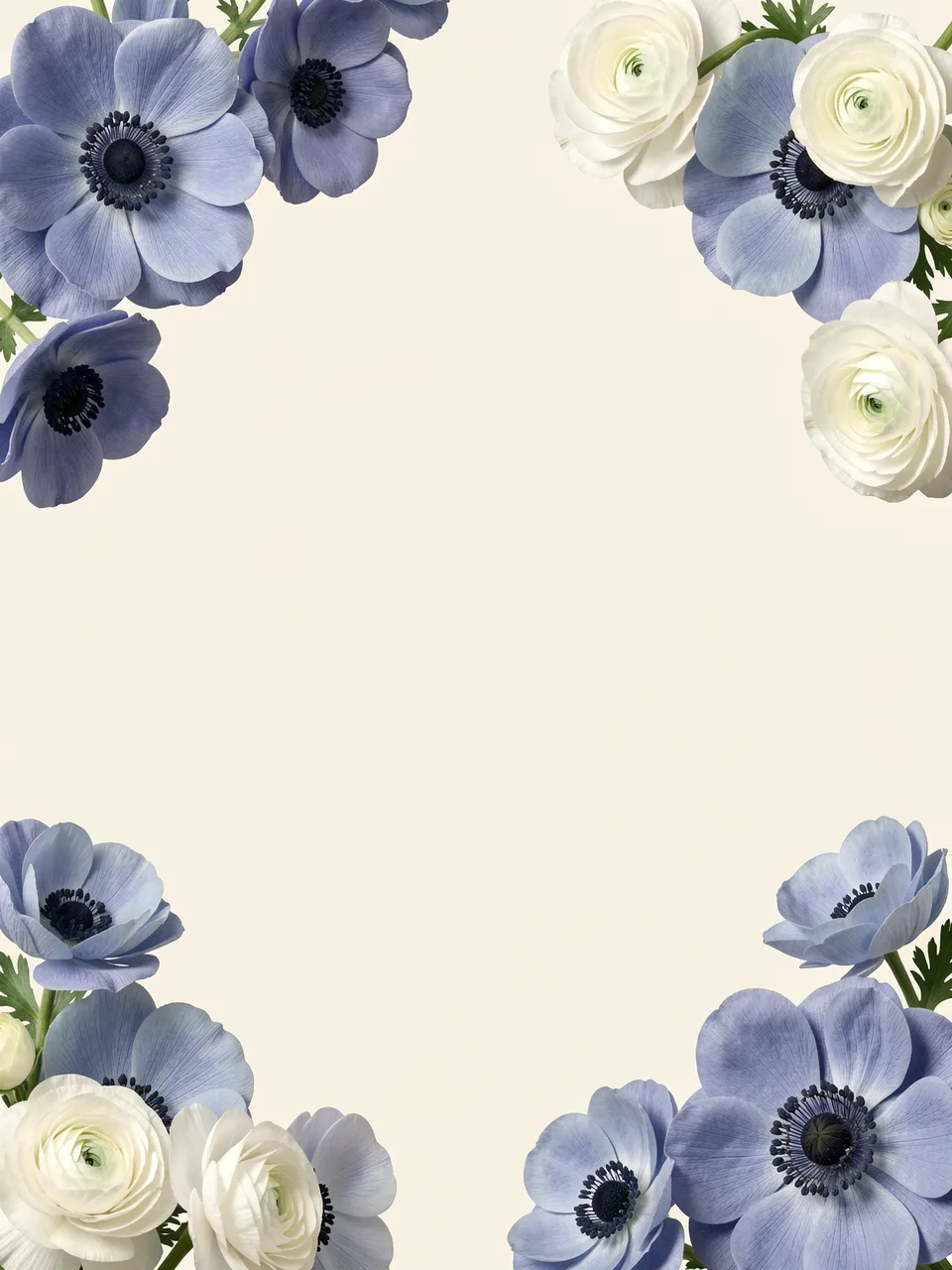 Dusty blue anemones and white ranunculus arranged in four corners around empty soft cream copy space