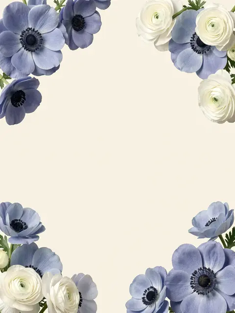 Dusty blue anemones and white ranunculus arranged in four corners around empty soft cream copy space
