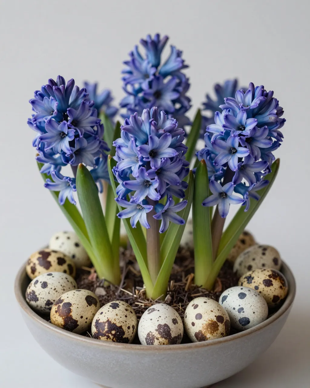A low gray bowl holds blue hyacinth blooms ringed with speckled quail eggs for an Easter display