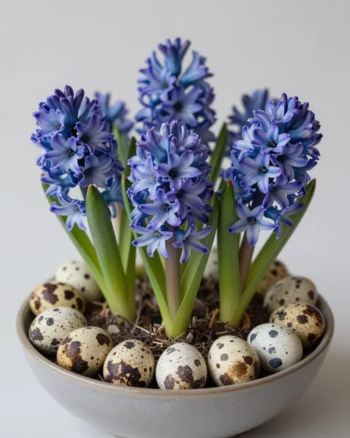 A low gray bowl holds blue hyacinth blooms ringed with speckled quail eggs for an Easter display
