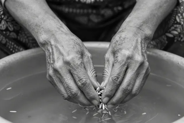 Black and white close-up of an older woman's weathered hands holding grain over a water basin