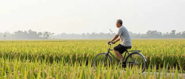 An elderly Southeast Asian man rides a bicycle along a path through rice fields at hazy sunrise.