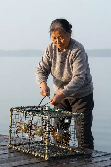 Senior Southeast Asian woman on a wooden pier handles a crab trap holding crabs at gray dawn