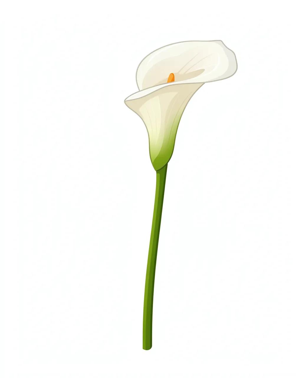 Flat illustration of a single white calla lily on a long green stem isolated on a plain white background