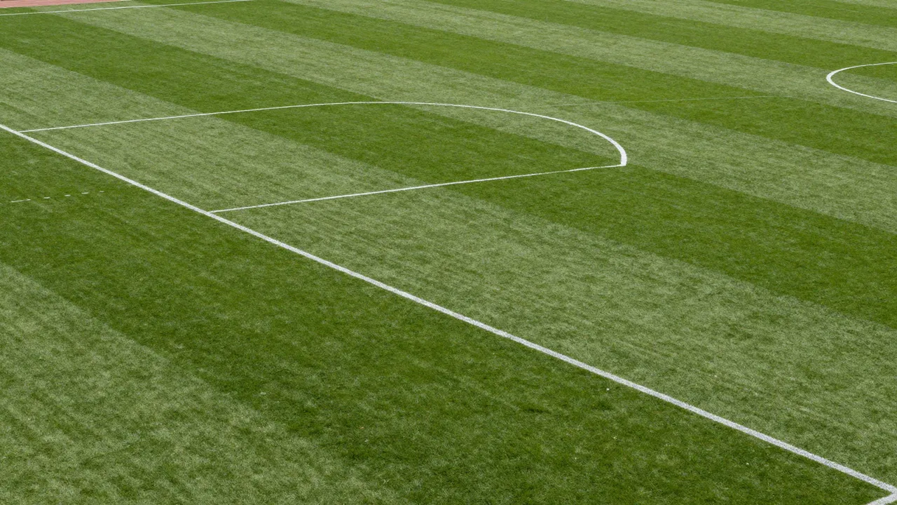 Aerial close-up of a freshly marked, empty striped grass soccer field with crisp white boundary lines.