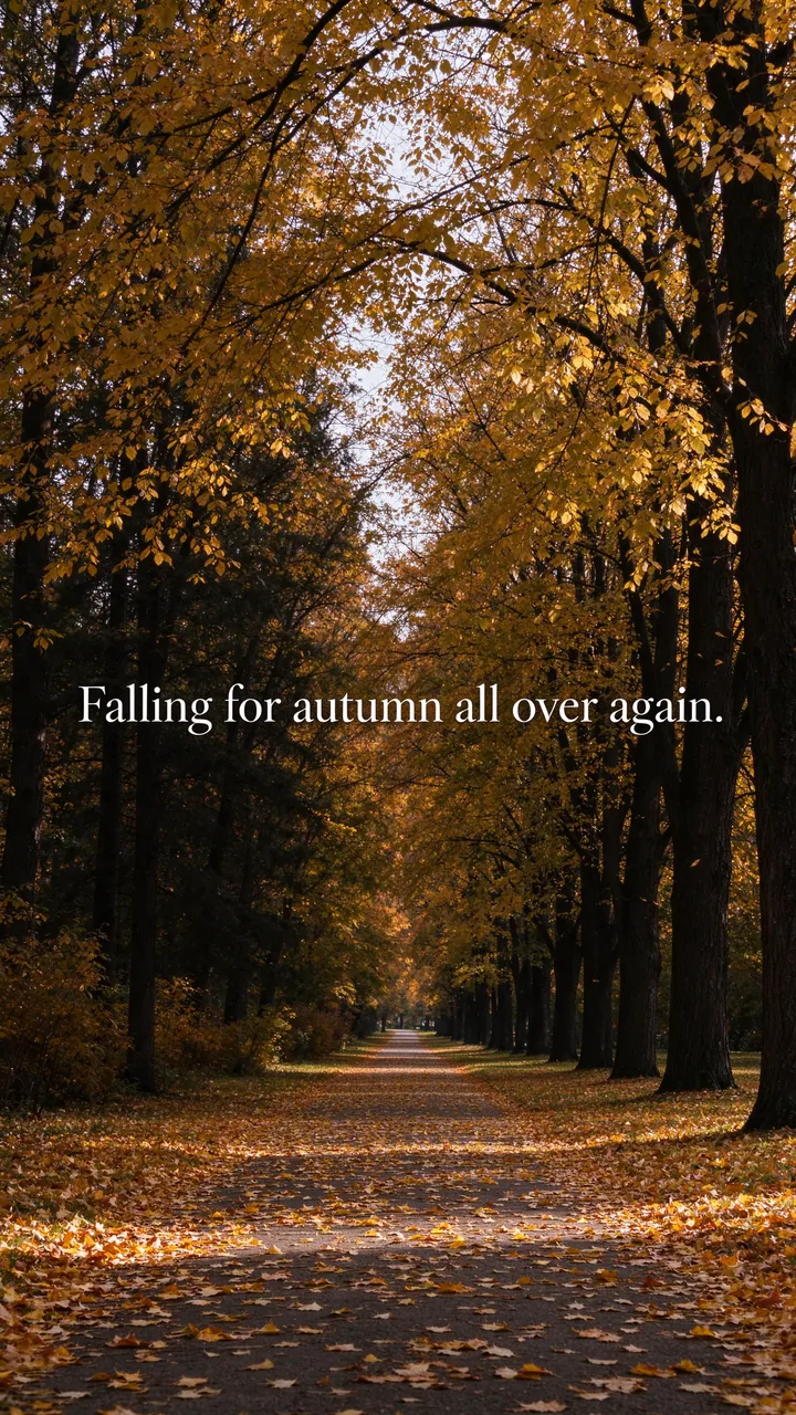 Vertical park path lined with golden autumn trees, with white serif text reading "Falling for autumn all over again."