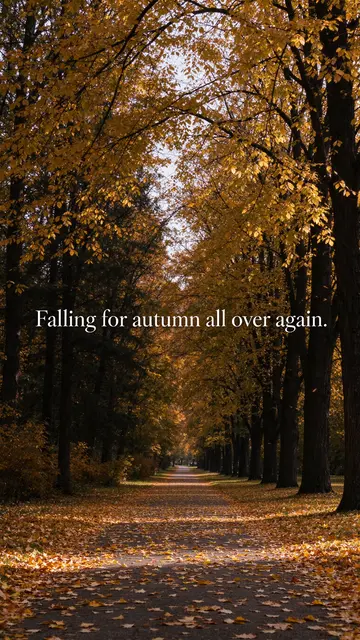 Vertical park path lined with golden autumn trees, with white serif text reading "Falling for autumn all over again."