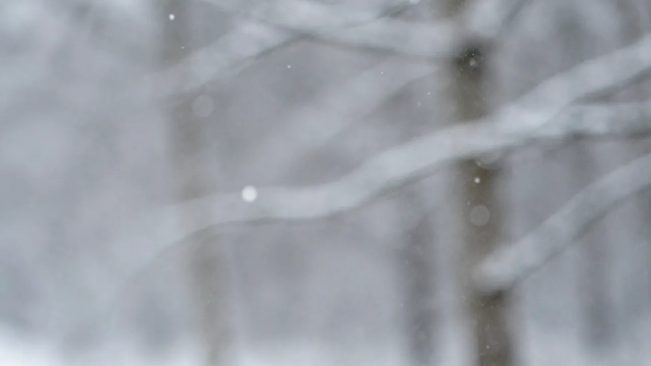 Soft snowy scene with drifting blurred snowflakes and circular bokeh light spots over frosted branches