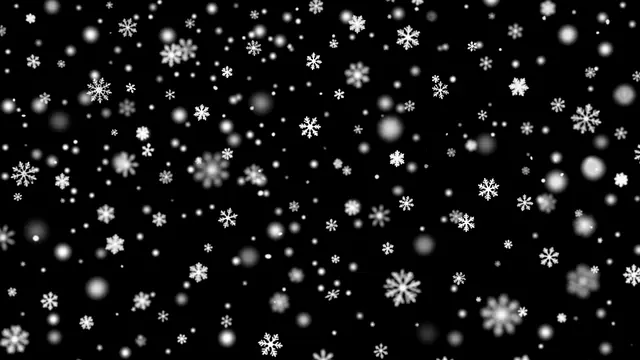 Sharp and softly blurred white snowflakes of varying sizes fall across a solid pure black background