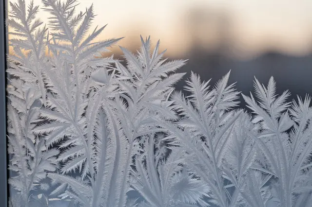 Intricate fern-like frost crystals cover a window pane with soft warm golden light glowing behind.