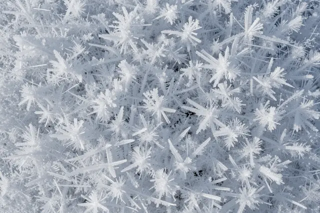 Close-up macro view of delicate, feathery hoarfrost ice crystals clustered densely together