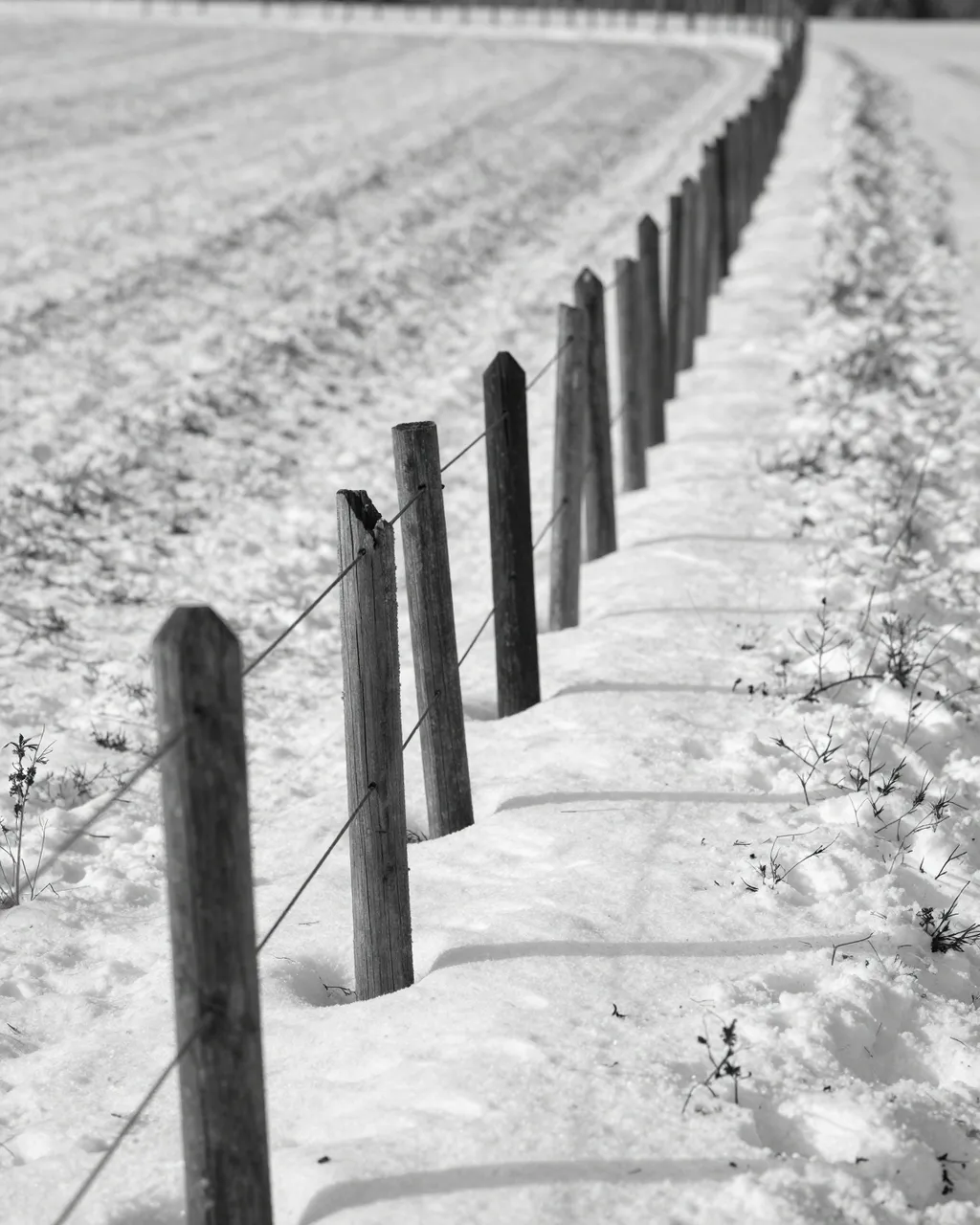 Black and white view of a line of weathered wooden fence posts receding across a snow-covered rural field
