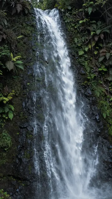 Long exposure shot of a slender waterfall flowing down a dark fern covered rocky cliff