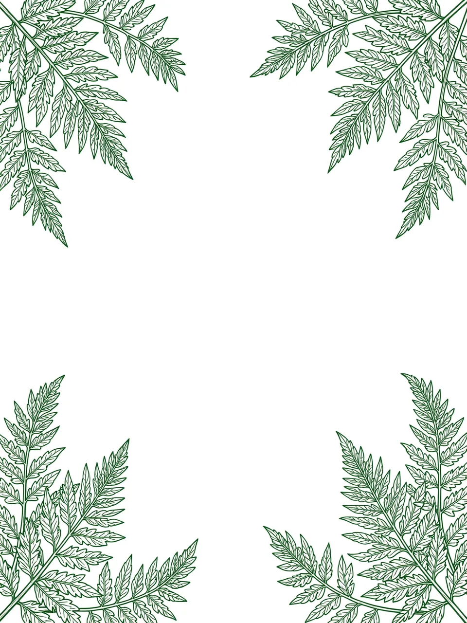 Sage green line art fern fronds frame the corners of a blank white page center