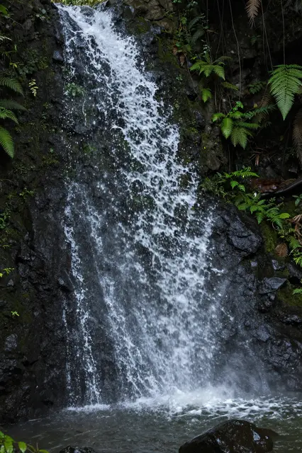 A thin plume-shaped waterfall cascades over dark wet rocks lined with ferns into a small pool