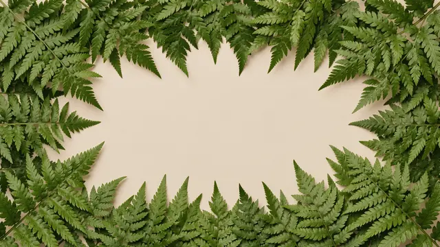 A decorative frame of green fern leaves surrounds a blank solid beige center.
