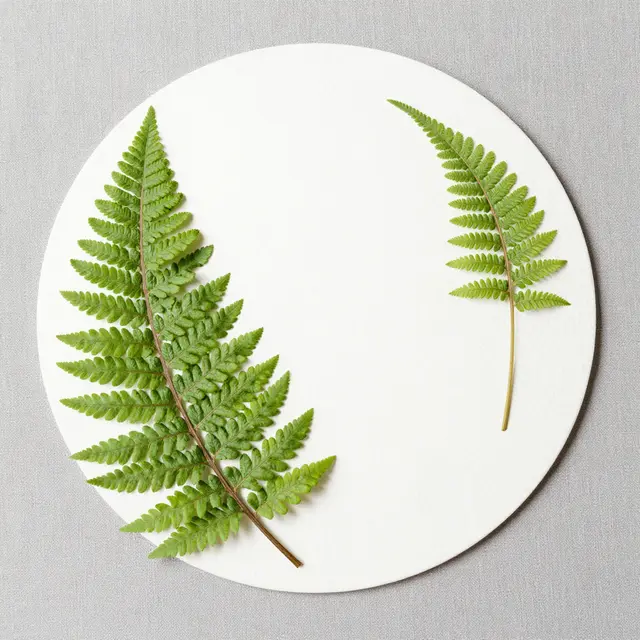 Overhead view of two pressed green fern fronds resting on round white paper over gray linen