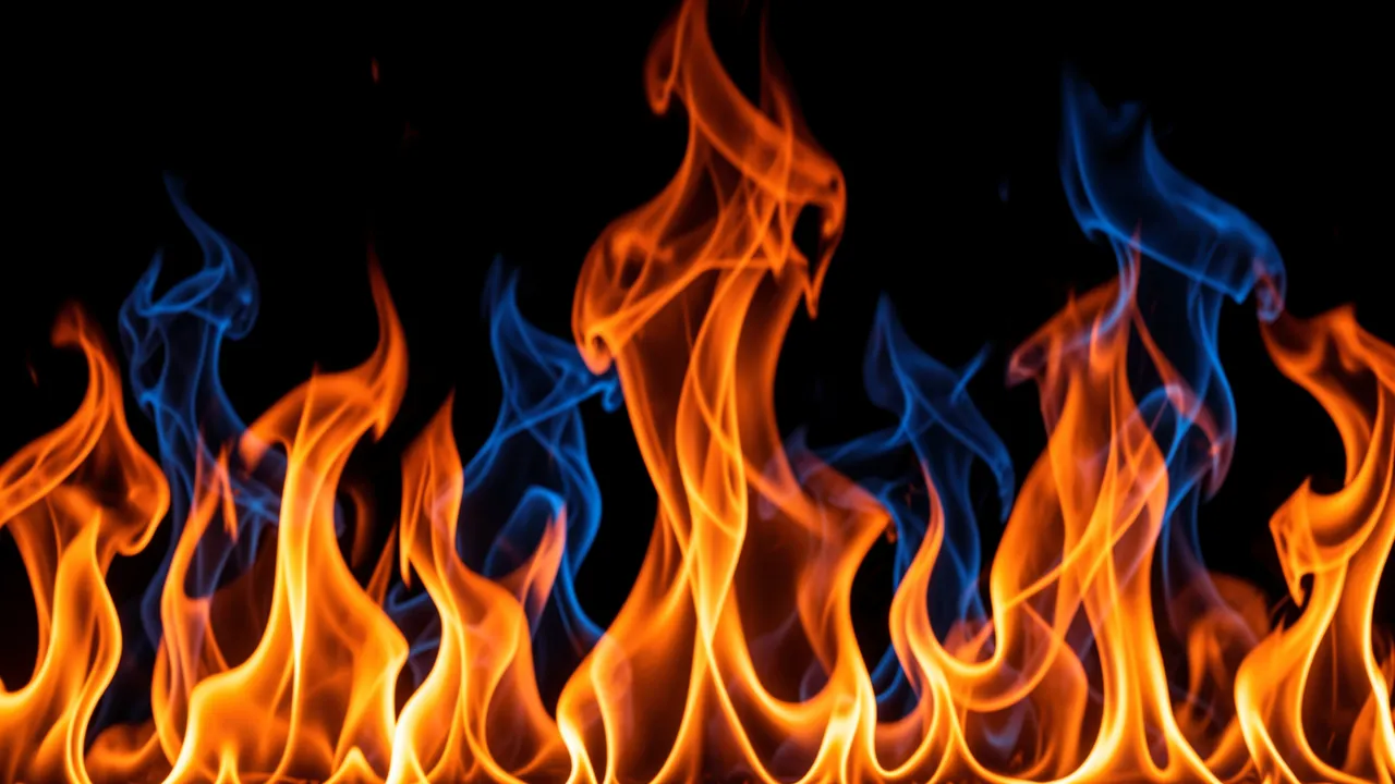 Swirling bright orange and cool blue abstract flames rise against a solid black background