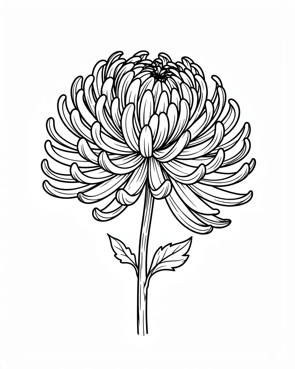 Crisp black line art of a chrysanthemum flower with a short stem and leaves on plain white background