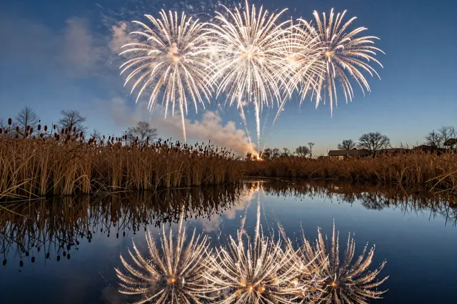 Golden bursting fireworks reflect perfectly in a still pond bordered by cattails at twilight