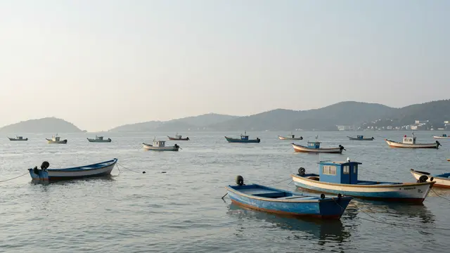 Small moored fishing boats float on calm hazy bay water with distant hills under a pale sky