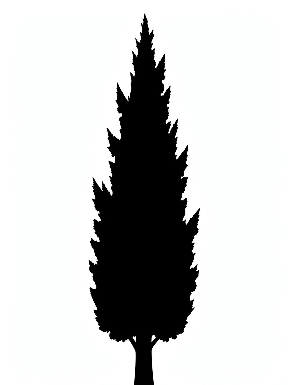 Solid black tall cypress tree silhouette in a flame shape on a plain white background