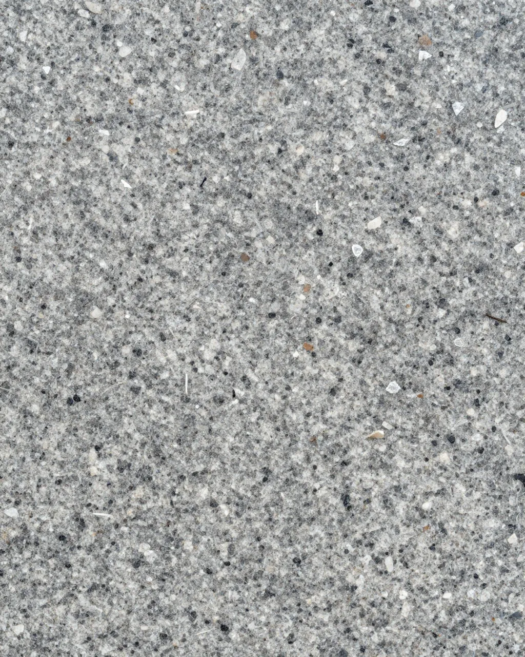 Full frame close-up of rough flamed gray granite with embedded mineral aggregate grains under flat even light