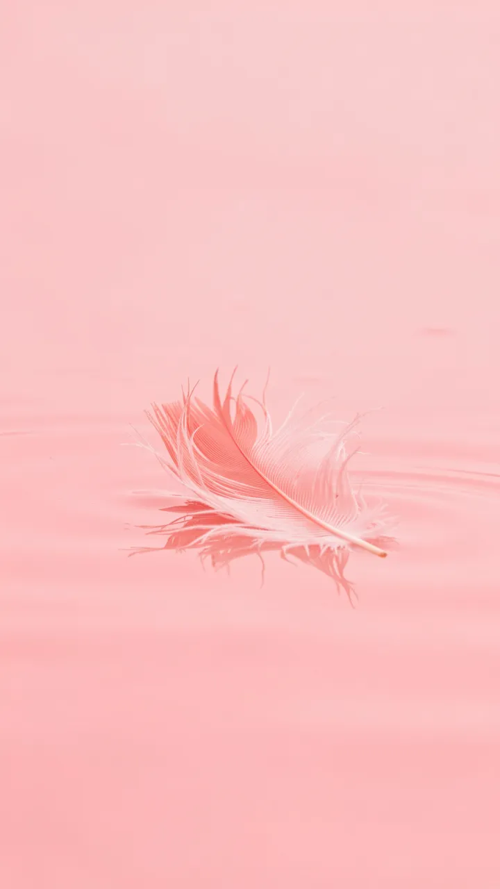A soft pink flamingo feather rests on still blush water with a faint mirrored reflection