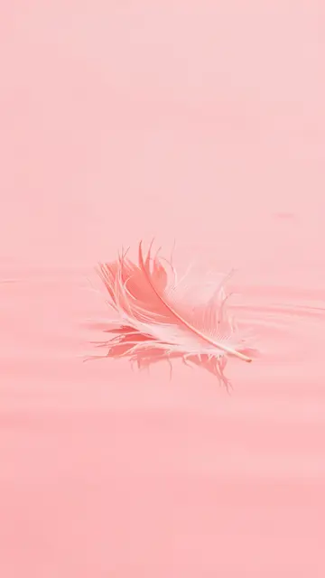 A soft pink flamingo feather rests on still blush water with a faint mirrored reflection