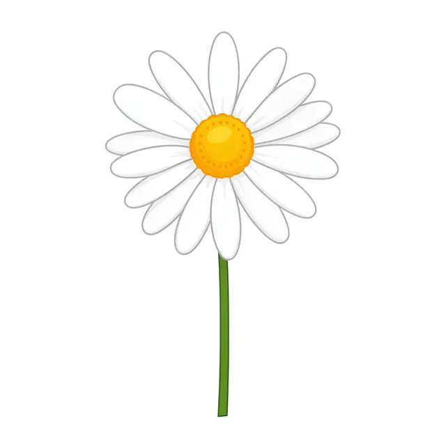 Flat clipart illustration of a white daisy with a yellow center and green stem isolated on a plain white background