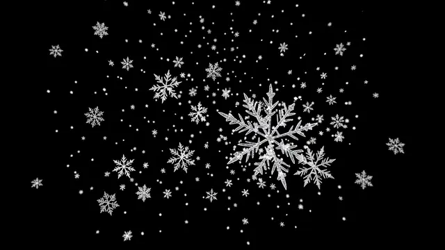 Large sharp foreground snowflakes and tiny drifting snow particles float over a solid pure black background.