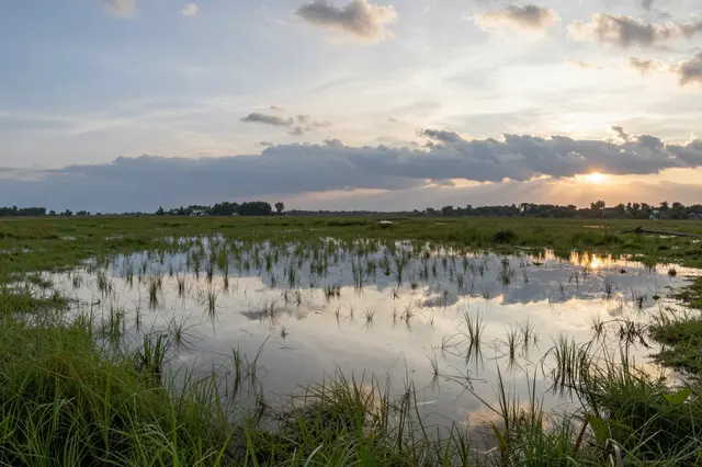 Shallow floodwater covers a grassy meadow, reflecting the colorful sunset and cloudy evening sky.