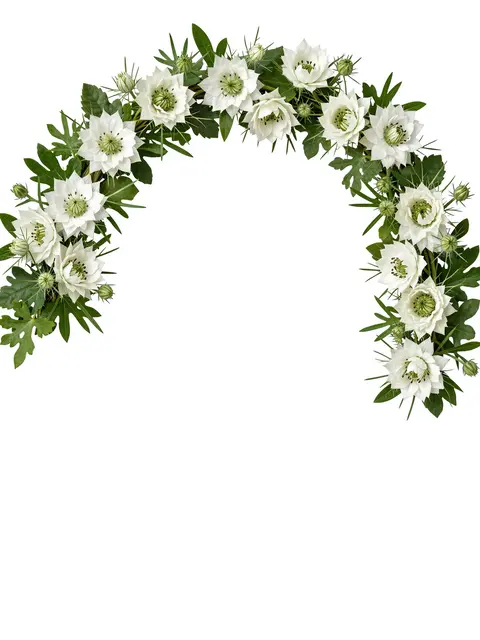A curved top crescent of green foliage and white flowers sits above empty white copy space.