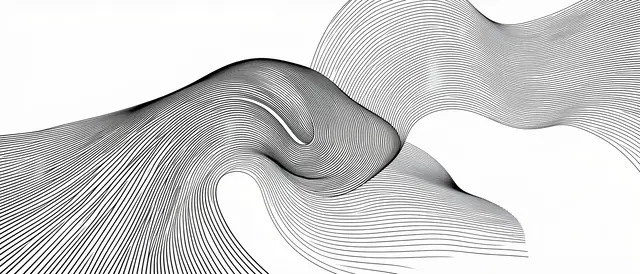 Smooth curved parallel black lines twist and flow across a plain white background
