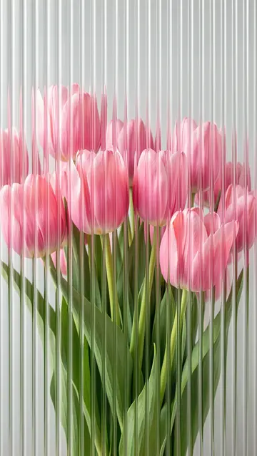 Bouquet of soft pink tulips viewed through vertical fluted glass, creating a gentle distorted effect