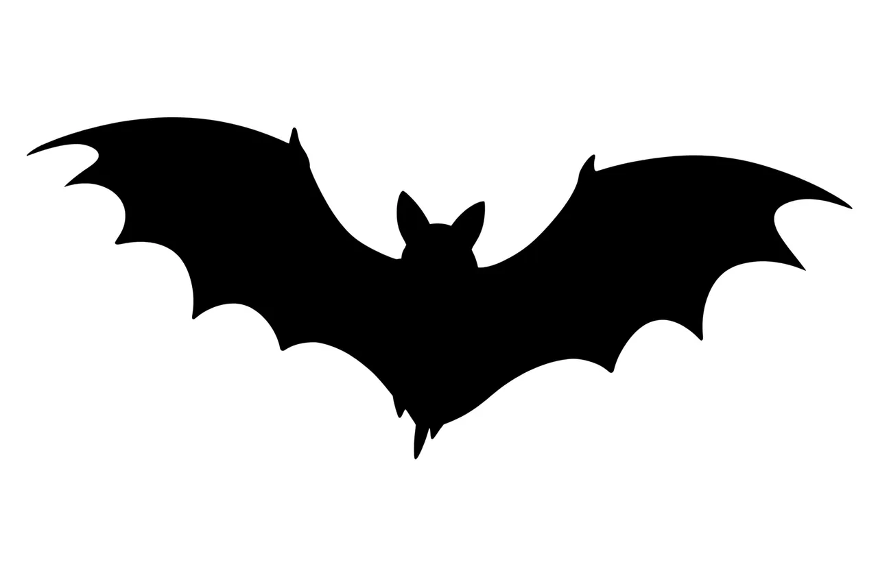 Solid black bat silhouette in mid-flight with scalloped wings on a plain white background