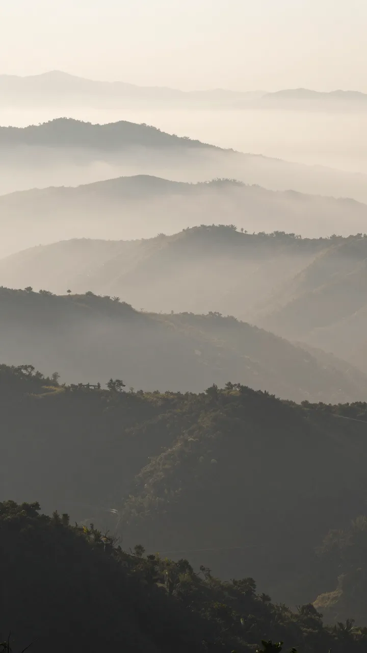 Layered forested mountain peaks fade into soft golden fog during early sunrise